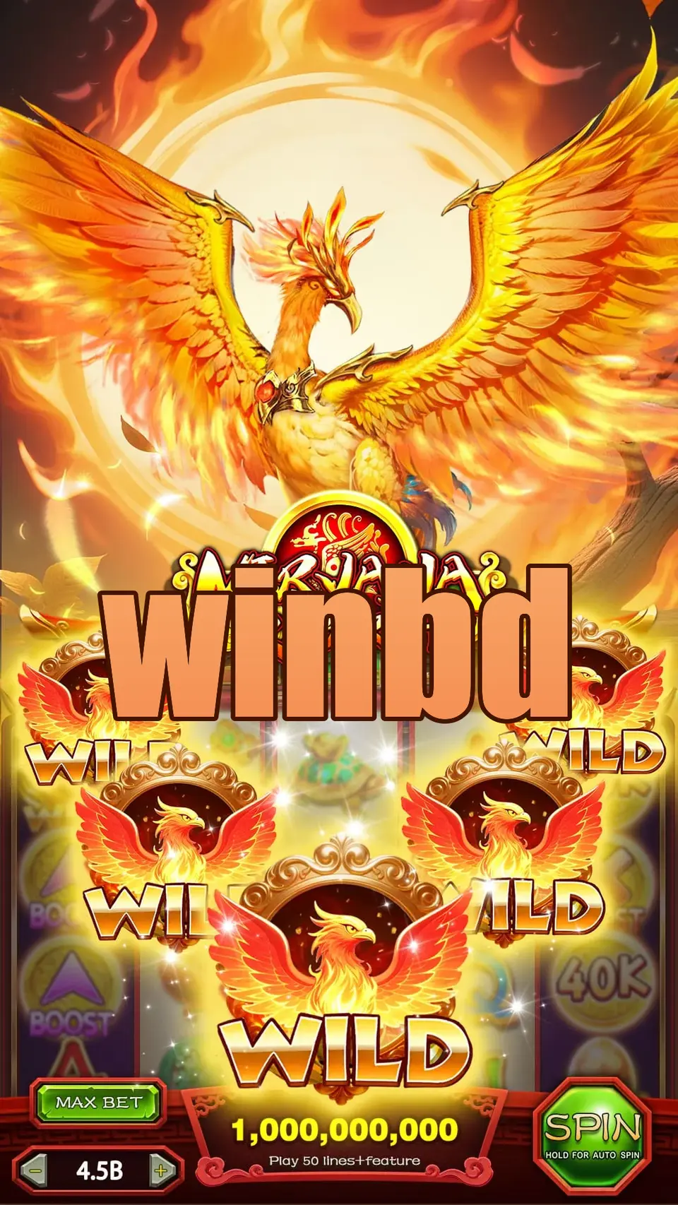 winbd APK